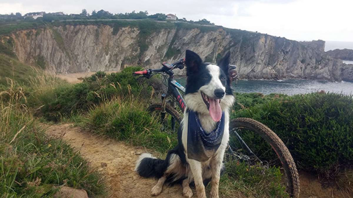 La foto del día en TodoMountainBike: 'Playa de Covachos'