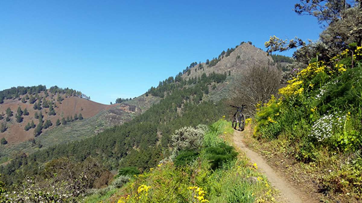 La foto del día en TodoMountainBike: 'Primavera en Gran Canaria'