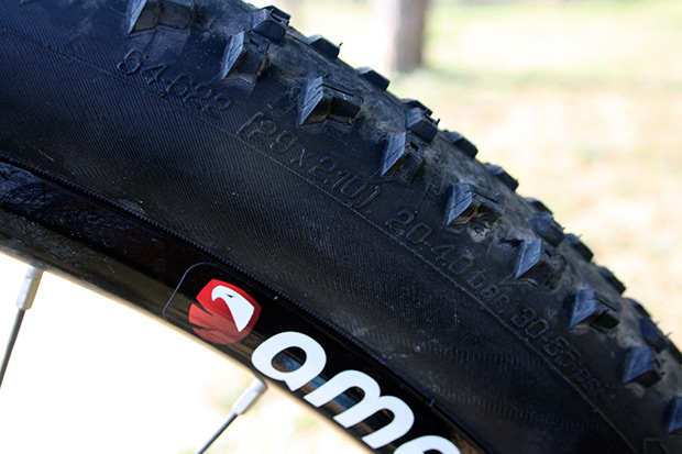 A prueba: Cubiertas Schwalbe Rapid Rob 29