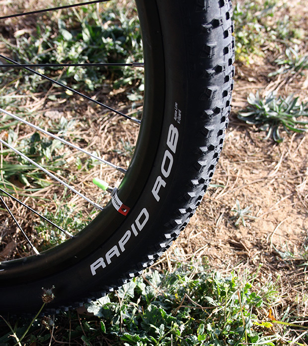 A prueba: Cubiertas Schwalbe Rapid Rob 29