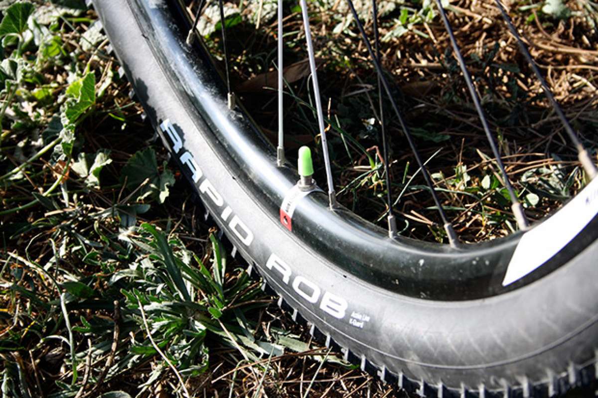 A prueba: Cubiertas Schwalbe Rapid Rob 29