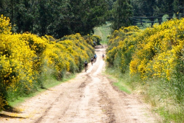 La foto del día en TodoMountainBike: "Una ruta por Balcarce (Argentina)"