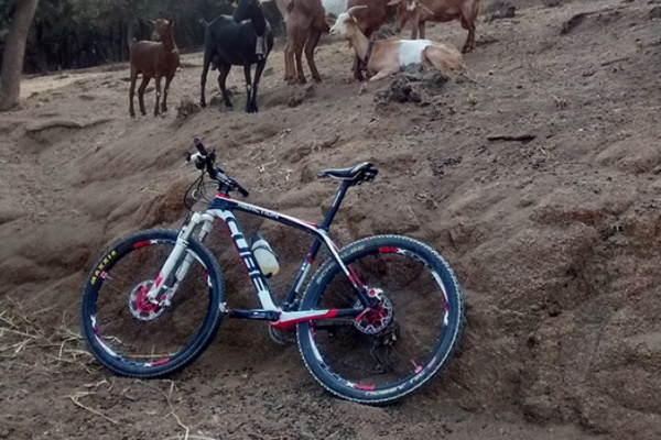 La foto del día en TodoMountainBike: "Si suben las cabras subo yo"