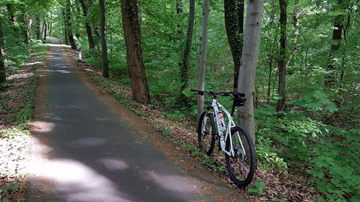 La foto del día en TodoMountainBike: "Ruta por Potsdam (Alemania)"