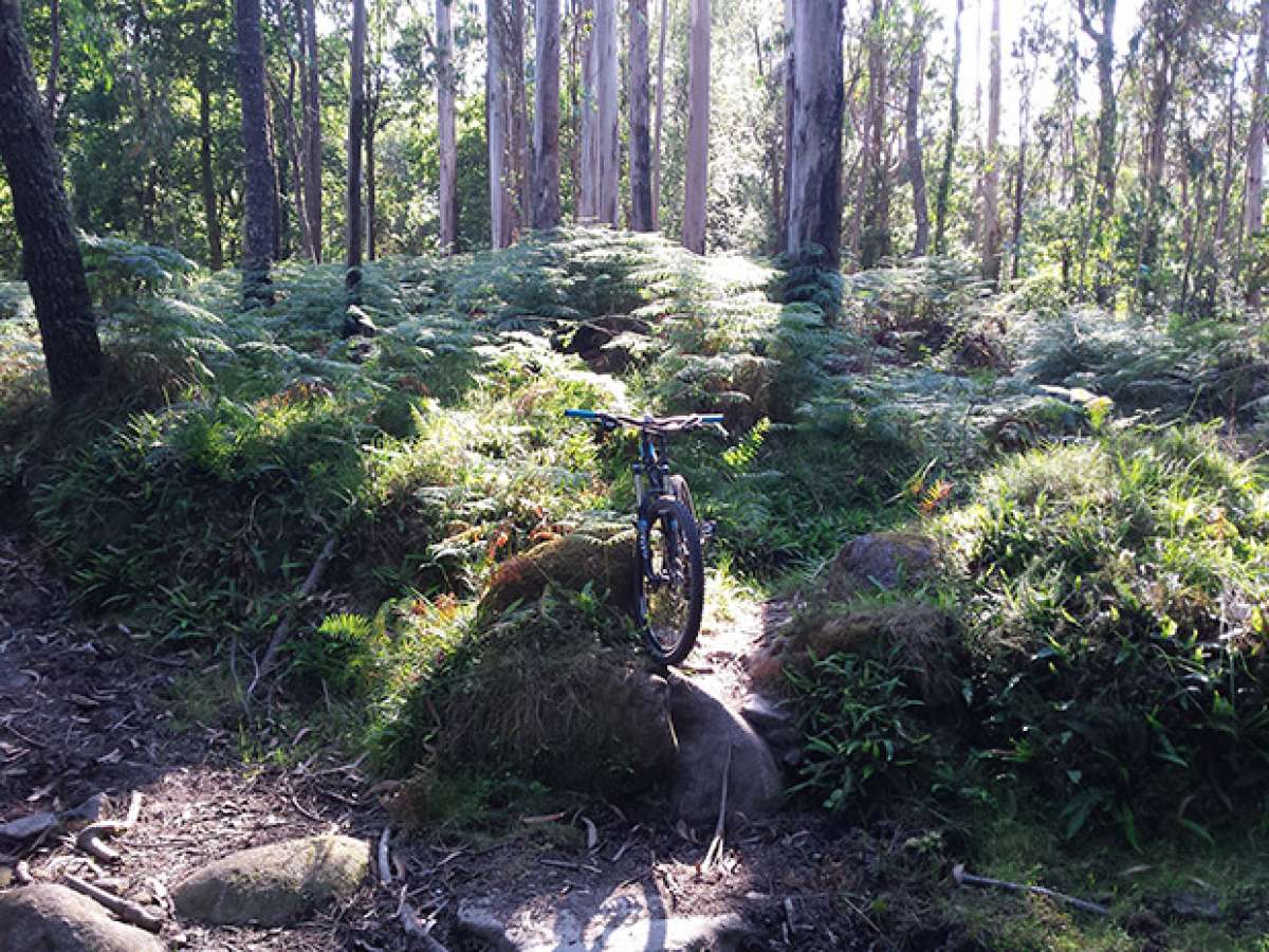 La foto del día en TodoMountainBike: 'Salida veraniega'