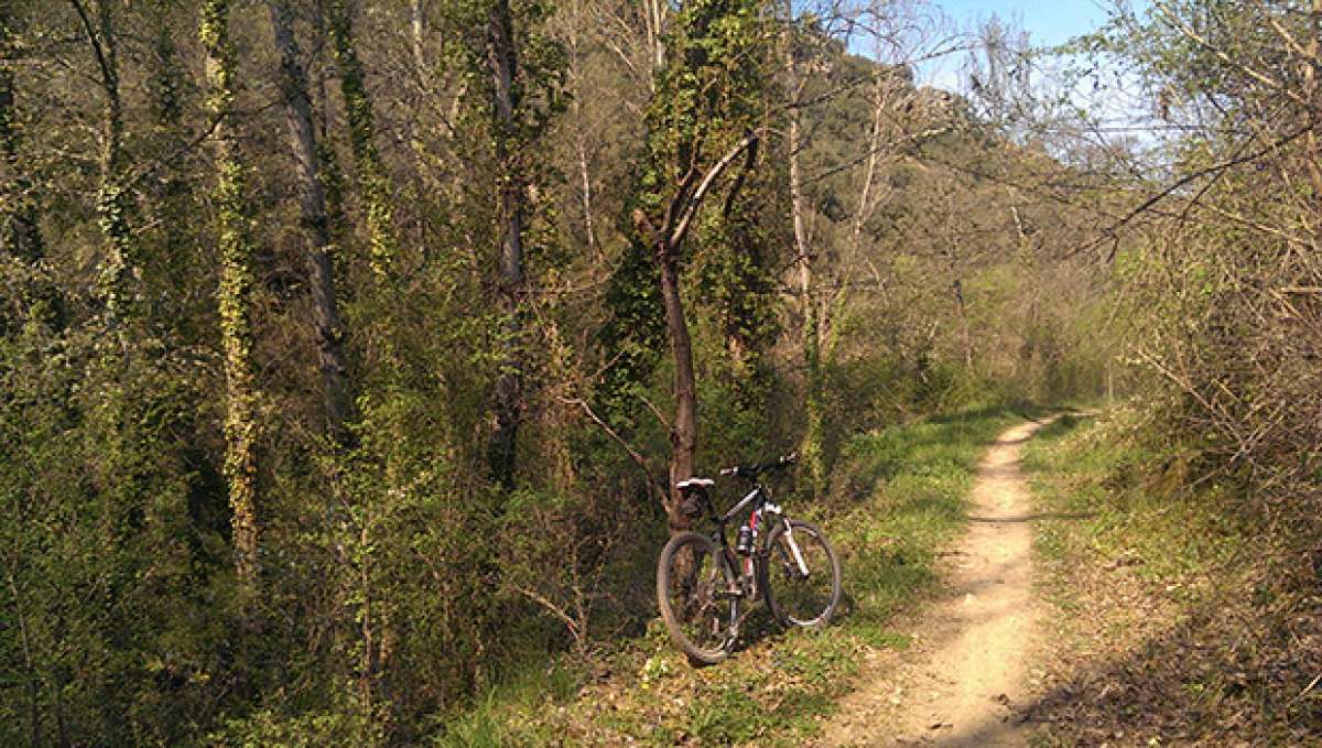 La foto del día en TodoMountainBike: 'Senda de los Monjes'