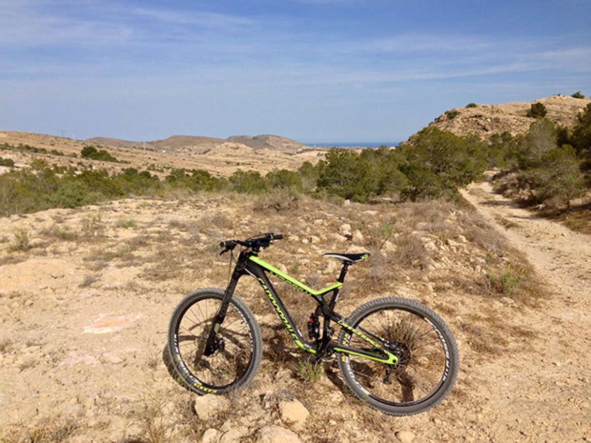 La foto del día en TodoMountainBike: 'Por las sendas de Elche'