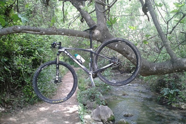 La foto del día en TodoMountainBike: "Sendero en Grazalema"