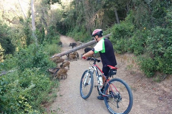 La foto del día en TodoMountainBike: "Sorteando obstáculos"