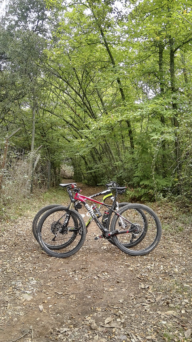 La foto del día en TodoMountainBike: 'Vereda de castaños en Sierra Morena'