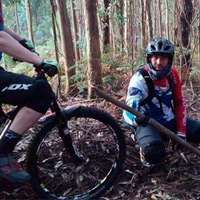 Estacas de madera para "empalar" ciclistas en los montes de Gondomar (Galicia)