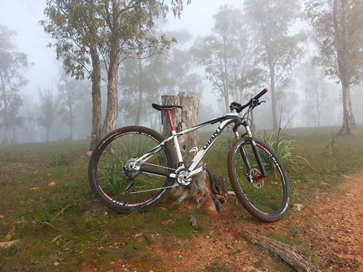 La foto del día en TodoMountainBike: 'Invierno en Sevilla'