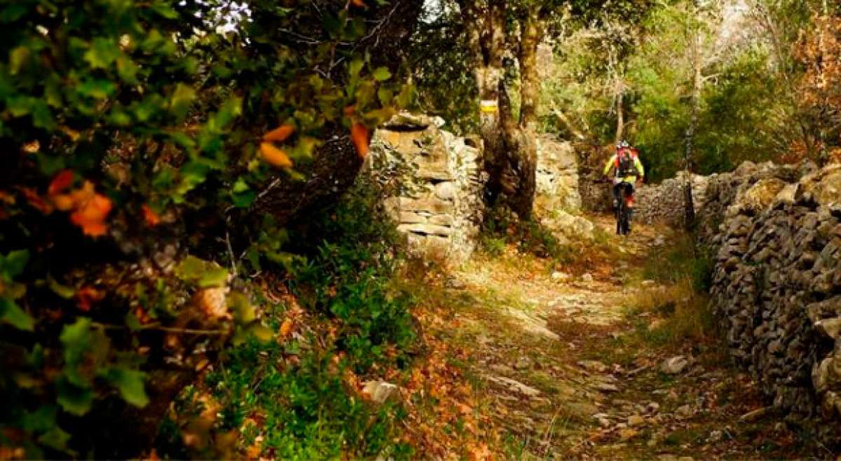 'Las venas de Zona Zero', un interesante documental acerca de la historia y recuperación de sus senderos