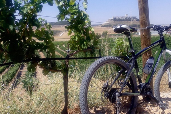 La foto del día en TodoMountainBike: "Viñedos de Ribera del Duero"