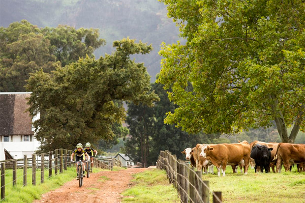 Absa Cape Epic 2016: Resumen de la sexta etapa