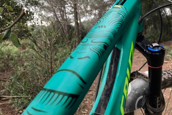 AMS Frame Guard APE, un nuevo protector de cuadro muy "mono"