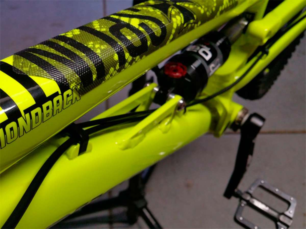 AMS Frame Guard Cobra, nueva estética reptiliana para los protectores de cuadro de All Mountain Style