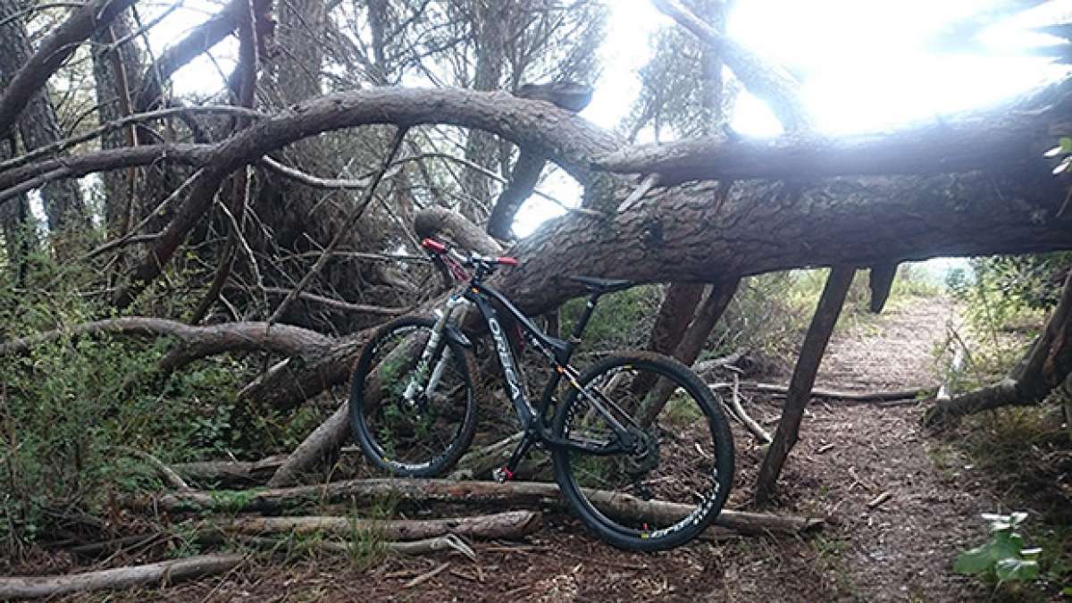 La foto del día en TodoMountainBike: 'Cerca del Arroyo del Bejarano'