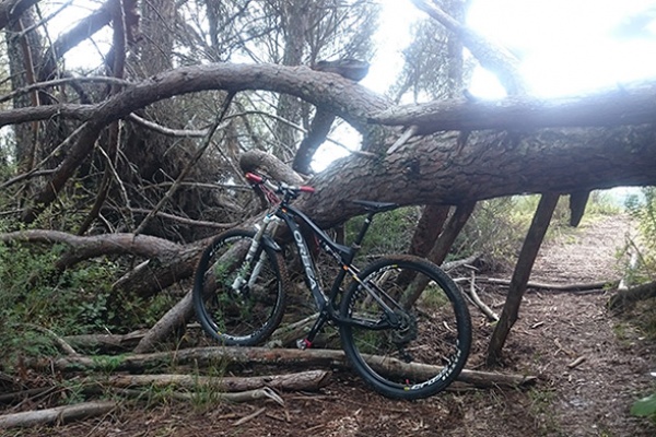 La foto del día en TodoMountainBike: "Cerca del Arroyo del Bejarano"