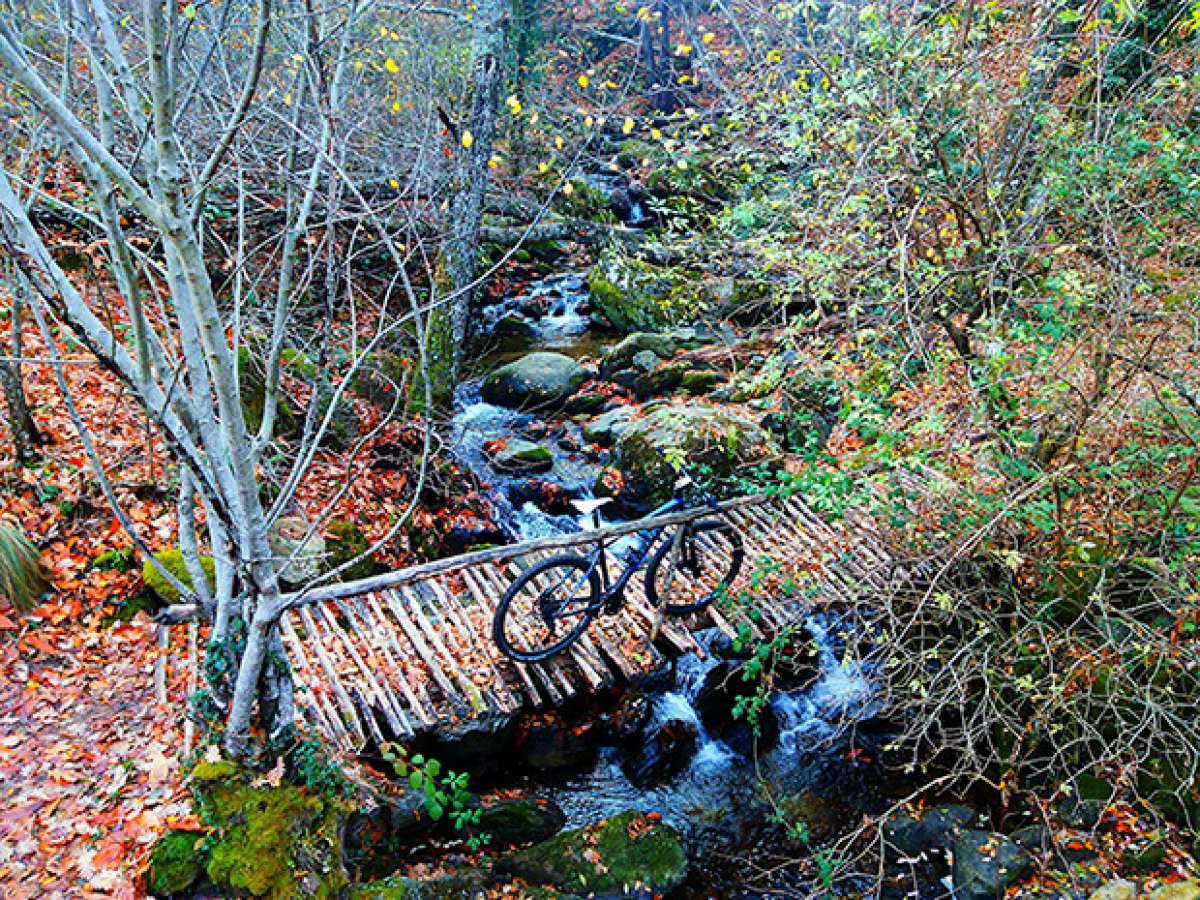 La foto del día en TodoMountainBike: 'Bosques del Ambroz'