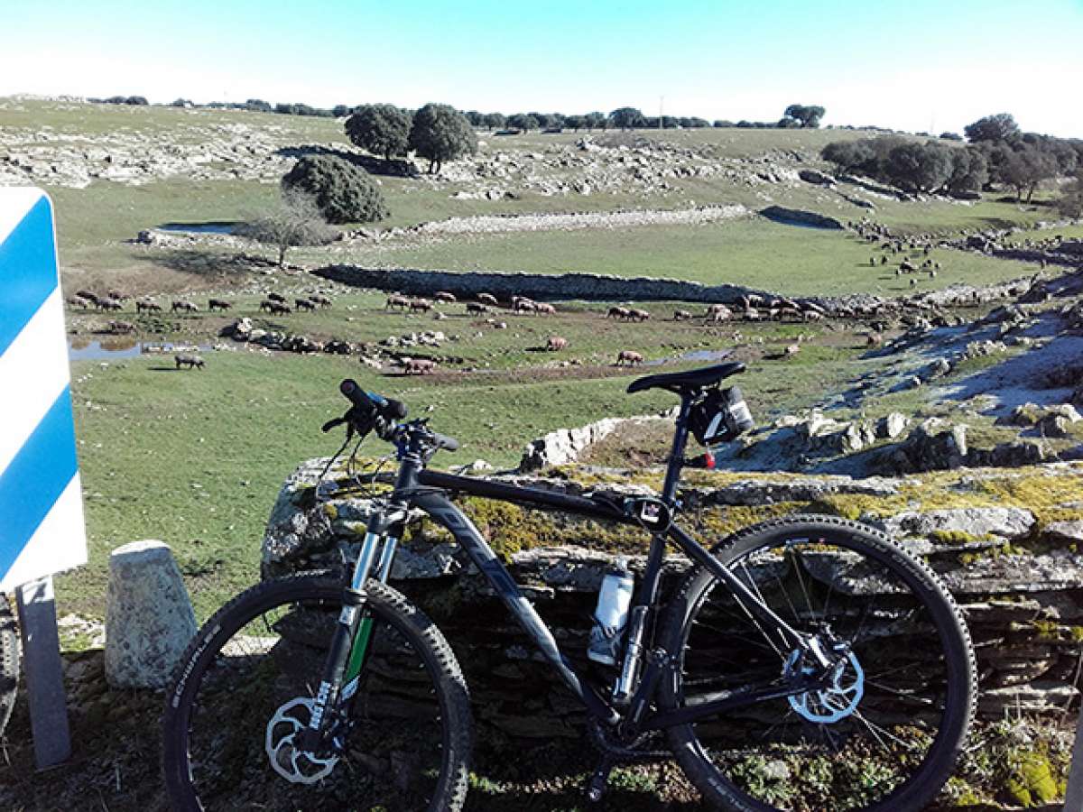 La foto del día en TodoMountainBike: 'Pata Negra'