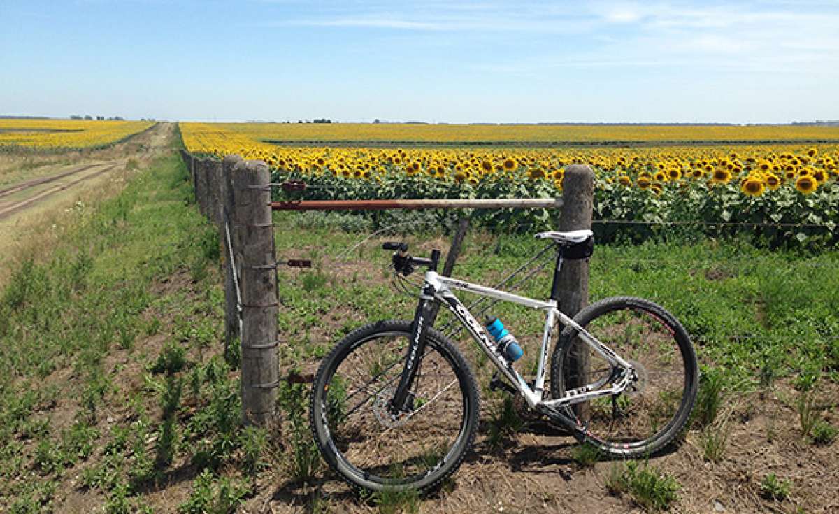 La foto del día en TodoMountainBike: 'Campos de girasoles'