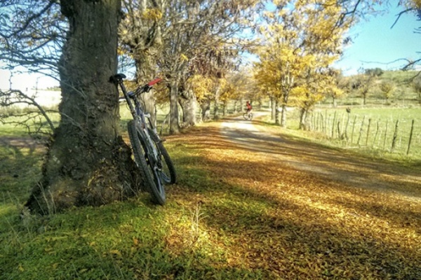 La foto del día en TodoMountainBike: "Llega el Otoño"
