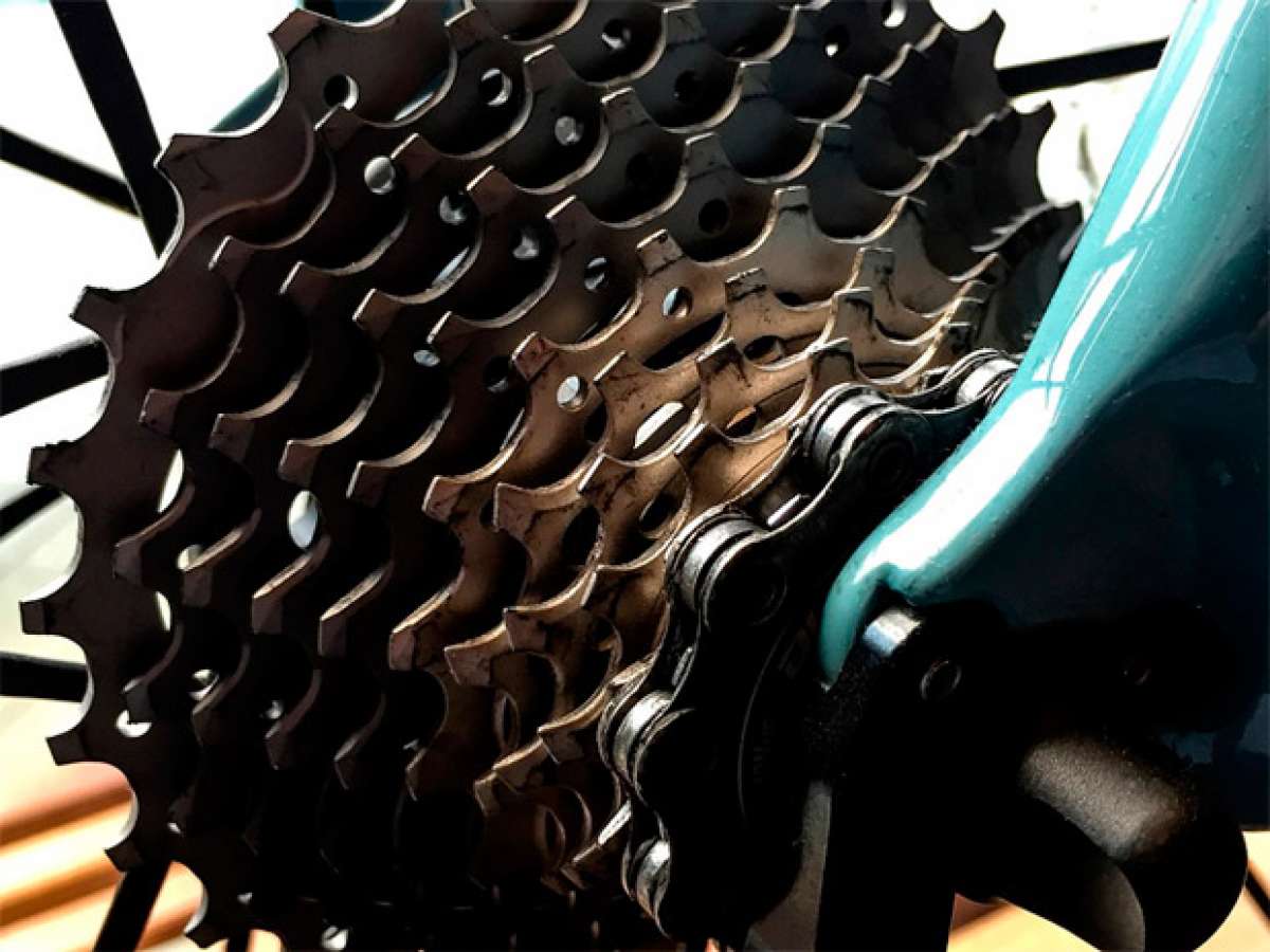 Cómo engrasar la cadena de la bici? Con la cera lubricante superventas -  Showroom