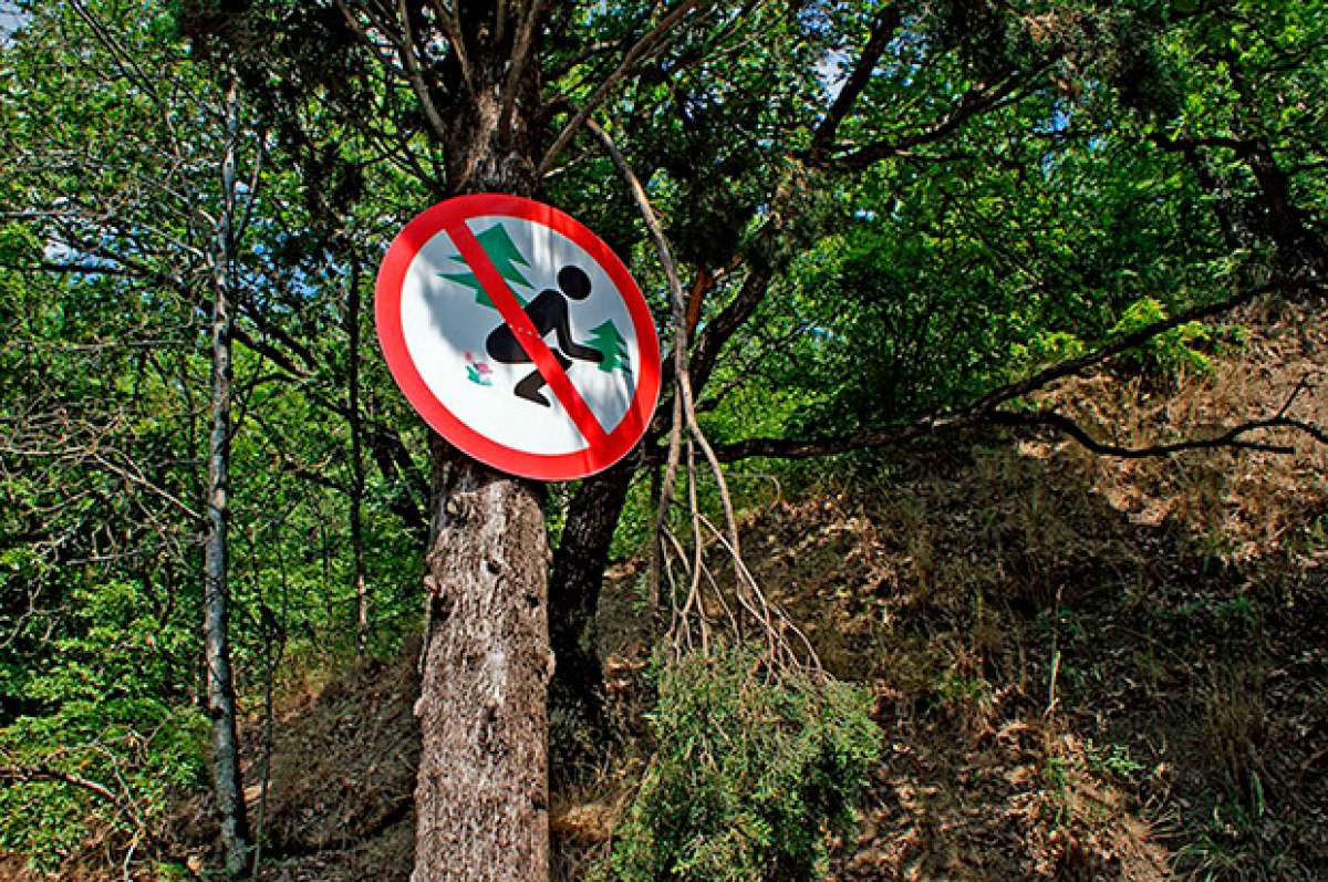 En TodoMountainBike: Consideraciones a tener en cuenta antes de defecar en el monte