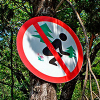 Consideraciones a tener en cuenta antes de defecar en el monte