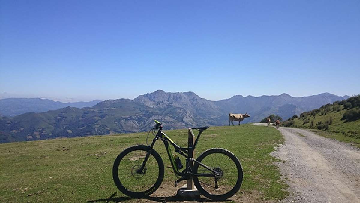 La foto del día en TodoMountainBike: 'Coto Bello, Asturias, Paraíso Natural'