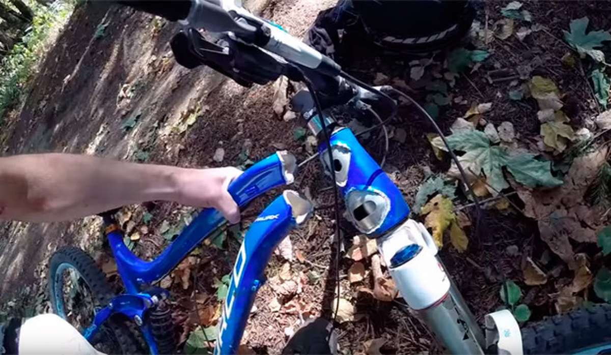 Así se parte el cuadro de una bicicleta contra un árbol