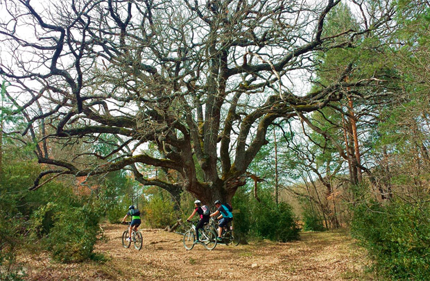 En TodoMountainBike: Nueva aplicación móvil 'Senderos del Sobrarbe', en desarrollo