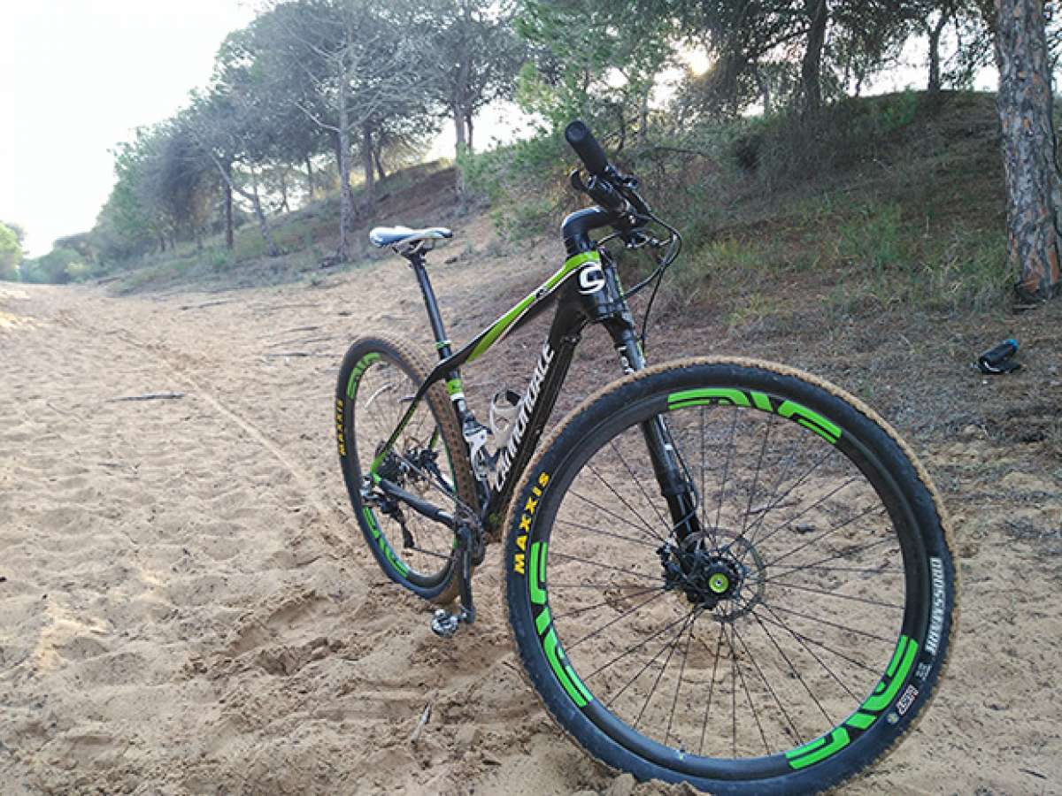 La foto del día en TodoMountainBike: 'Entreno por las dunas'