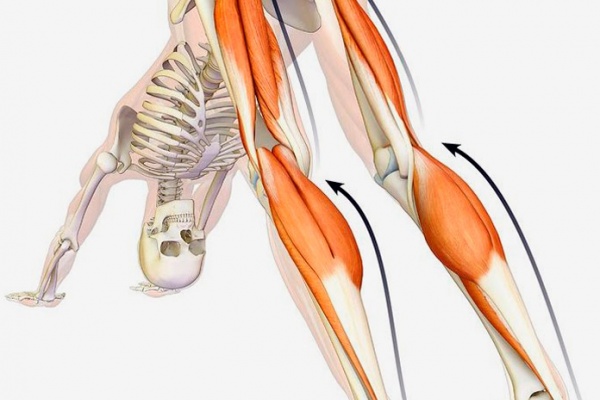 Cuatro ejercicios para mejorar la flexibilidad de piernas y espalda de forma instantánea en menos de 10 minutos