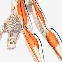 Cuatro ejercicios para mejorar la flexibilidad de piernas y espalda de forma instantánea en menos de 10 minutos