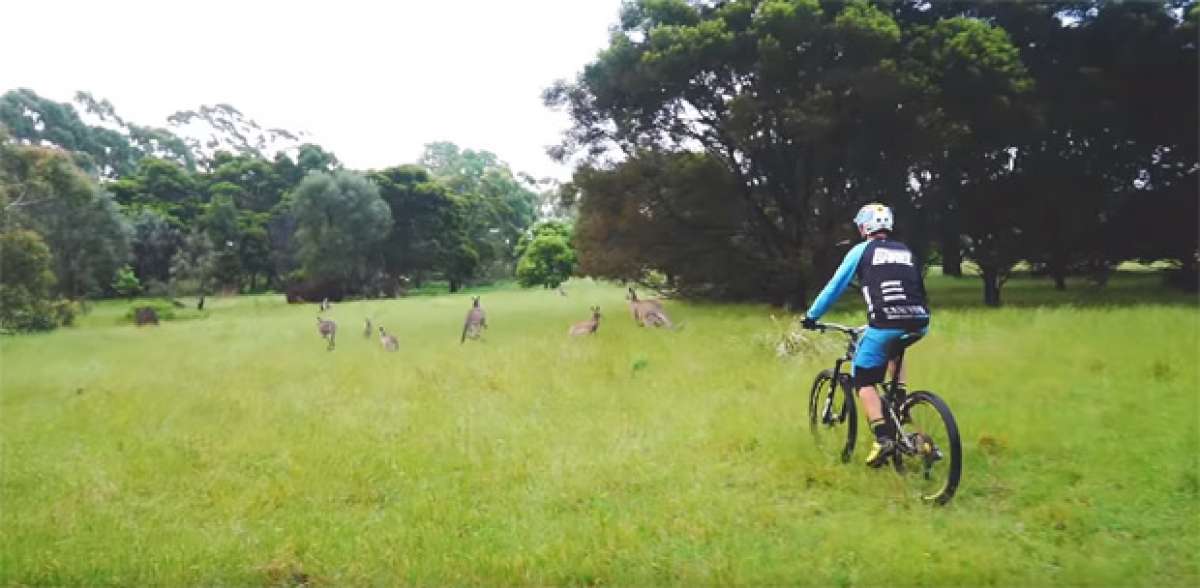 Rodando con Fabien Barel por Australia y Nueva Zelanda