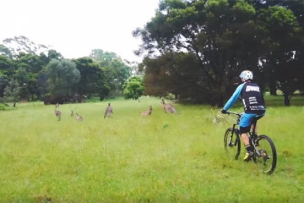 Rodando con Fabien Barel por Australia y Nueva Zelanda