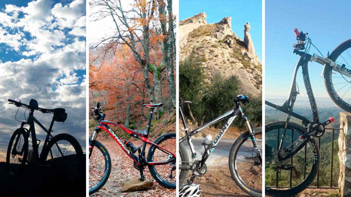 Las 'Fotos del día' en TodoMountainBike - Enero de 2016