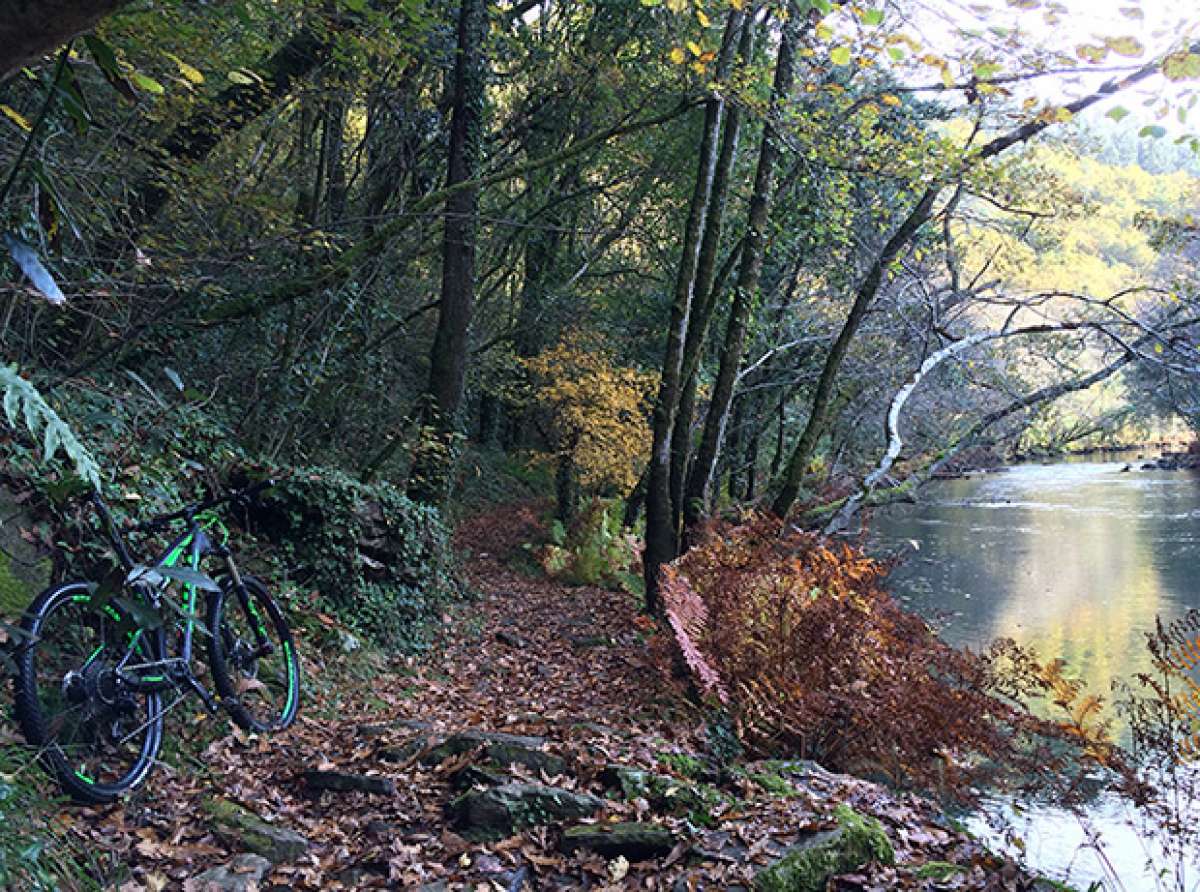 La foto del día en TodoMountainBike: 'Fragas do Eume'