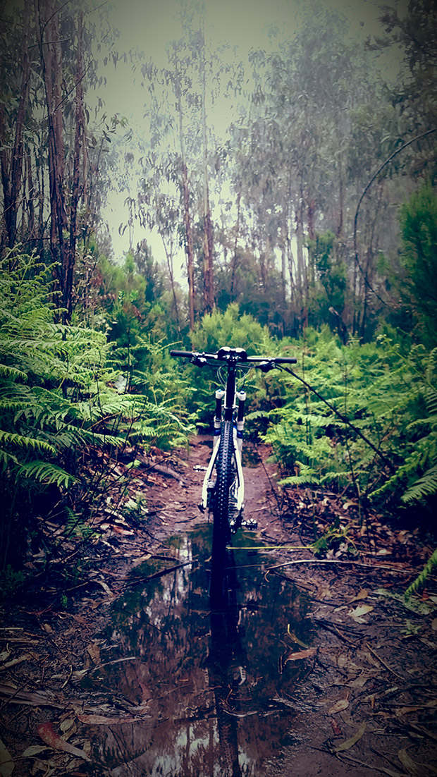 La foto del día en TodoMountainBike: 'Jurassic Tenerife Park'