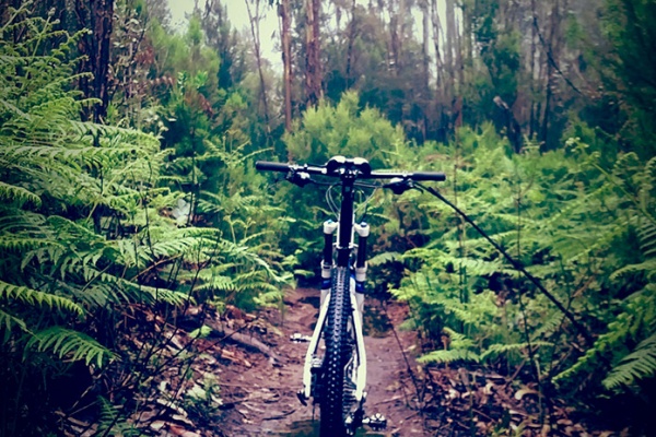 La foto del día en TodoMountainBike: "Jurassic Tenerife Park"