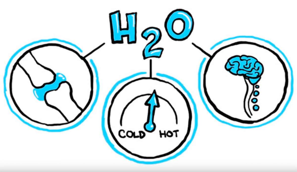 La importancia de una correcta hidratación, explicada en un didáctico vídeo TED