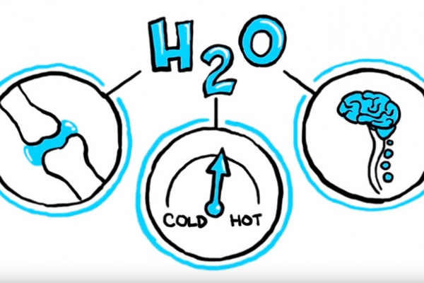 La importancia de una correcta hidratación, explicada en un didáctico vídeo TED