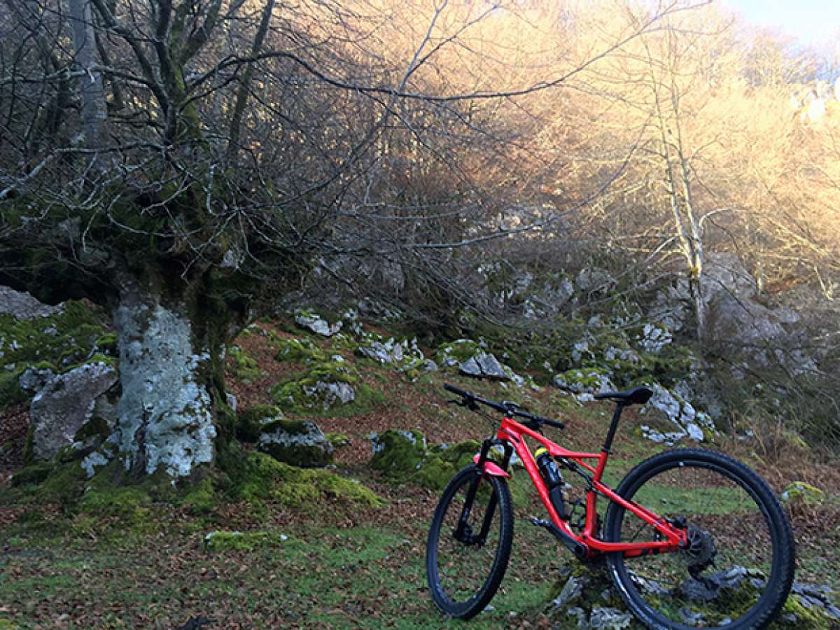 La foto del día en TodoMountainBike: 'Sorginaren Basoa'