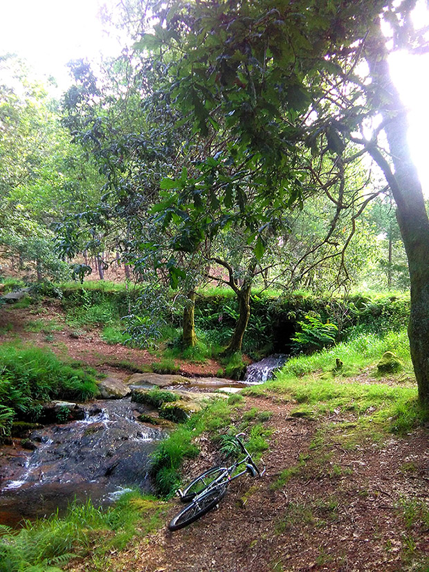 La foto del día en TodoMountainBike: 'Fontefría en Xiabre'