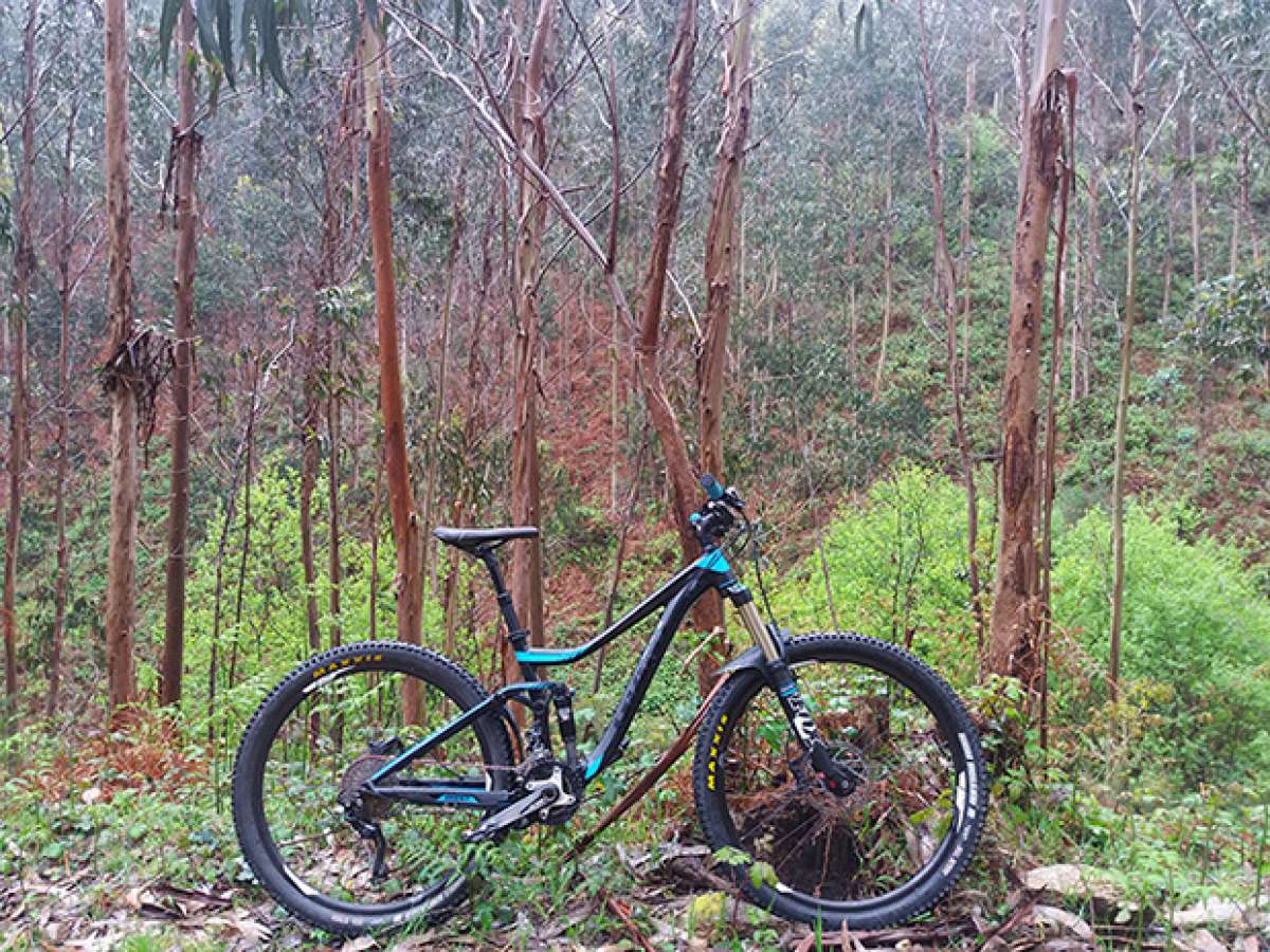 La foto del día en TodoMountainBike: "Subida a la Groba"