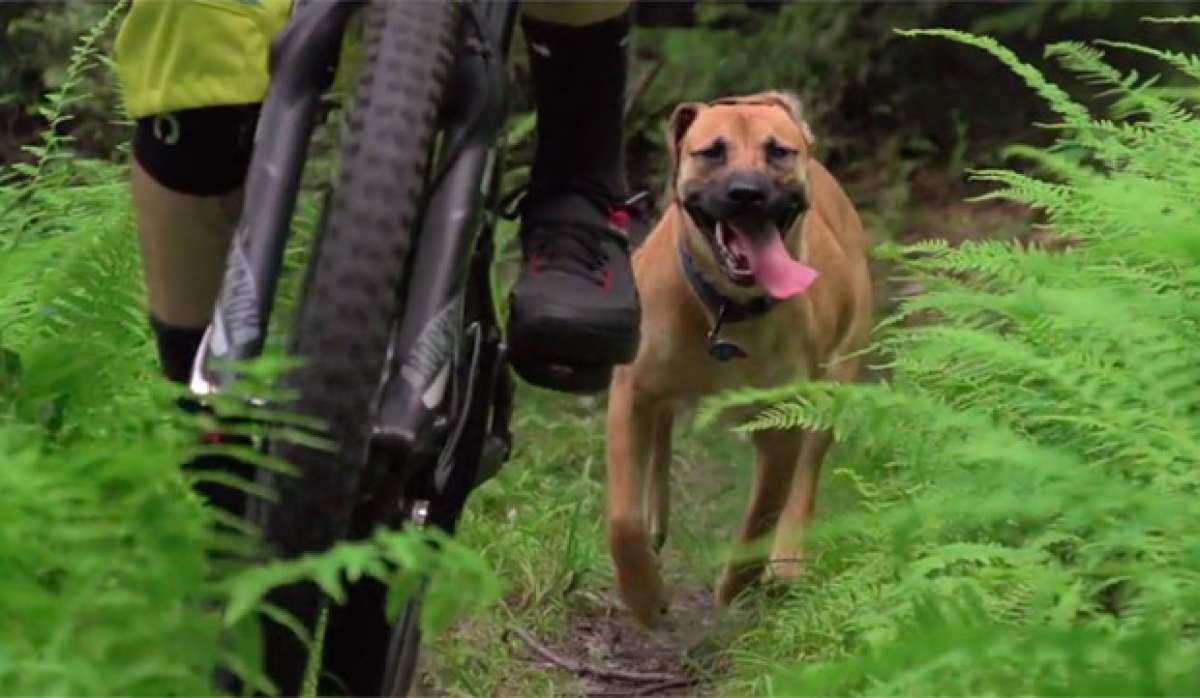 Adam Morse y su perro Flow, en las Green Mountains de Vermont