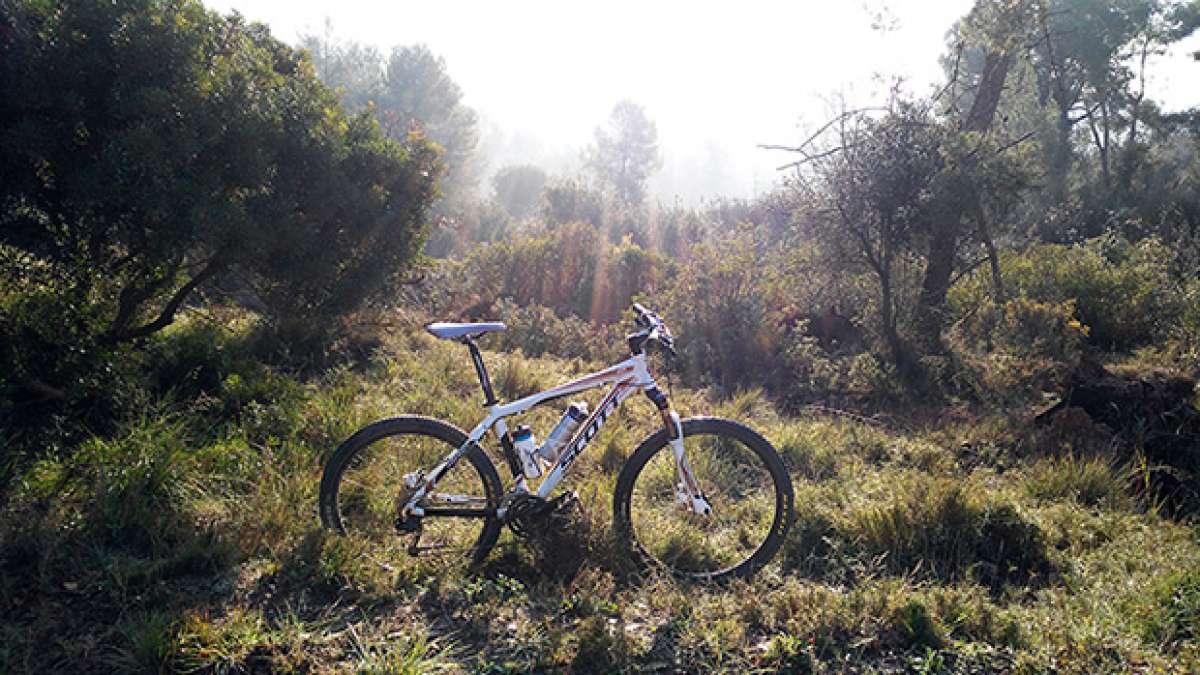 La foto del día en TodoMountainBike: 'Sun, Mountain and Bike'
