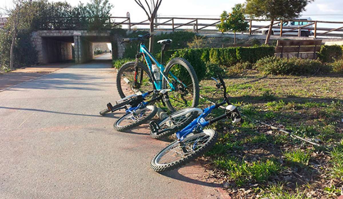 La foto del día en TodoMountainBike: 'Con mis retoños'